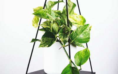 曼彻斯特城队英超在线直播